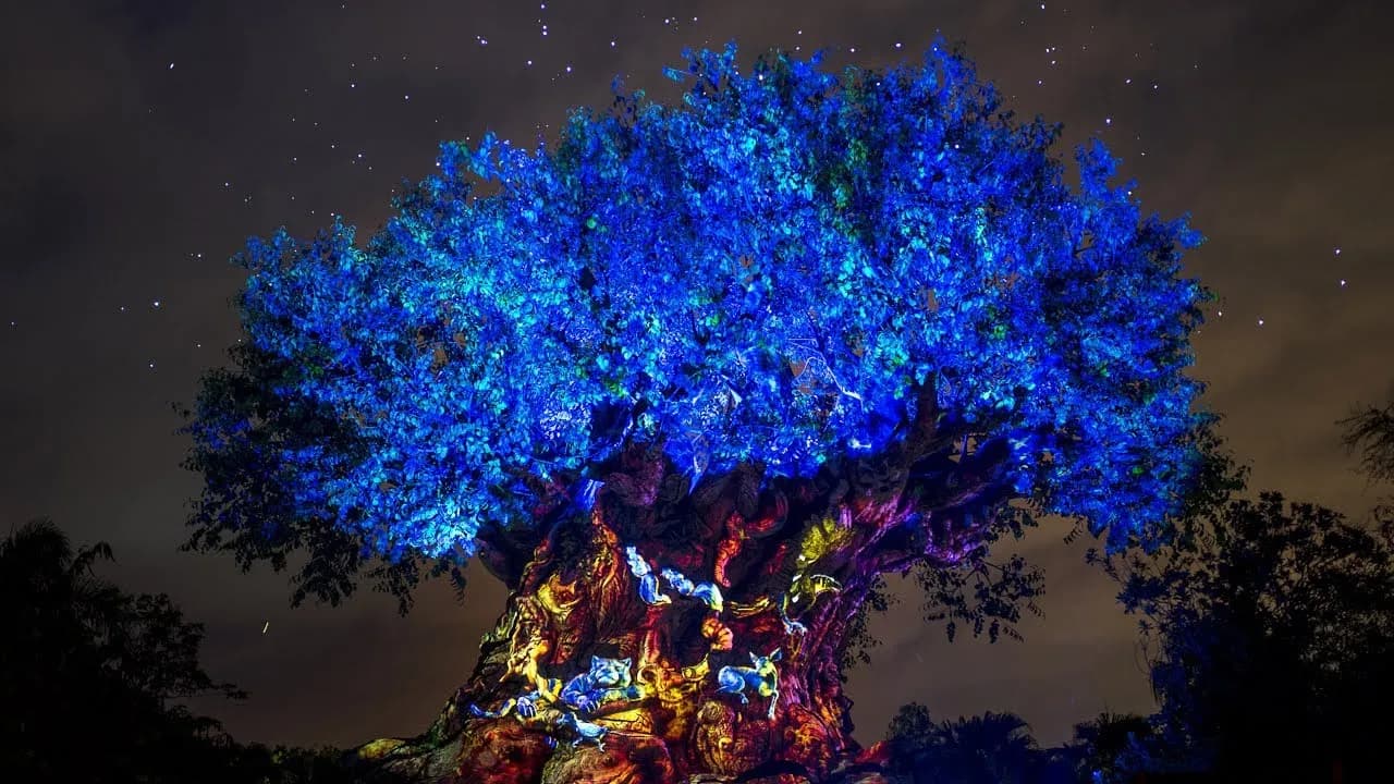 Os principais erros para não cometer no Animal Kingdom