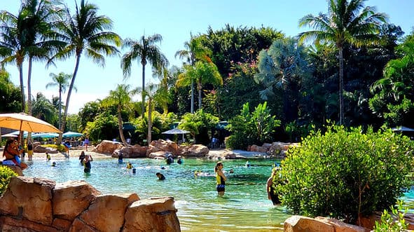 Discovery Cove